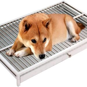 Bandeja para perros de acero inoxidable - Ideal para entrenamiento