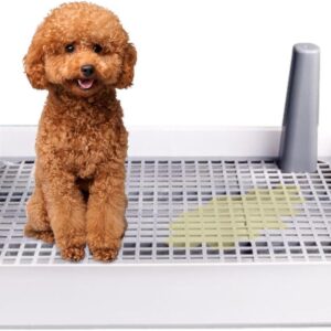 Orinal interior para perros pequeños con protector de salpicaduras