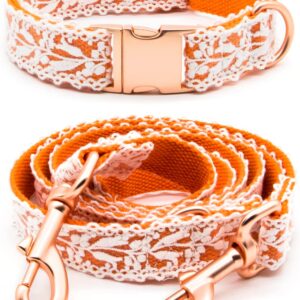 Juego collar y arnés para perros/ gatos LEKAIGO algodón
