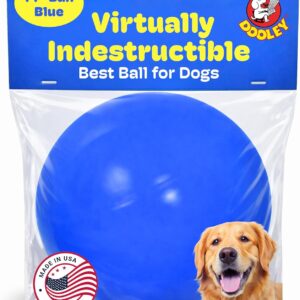 Pelota Doggie Dooley 14" indestructible para perros grandes