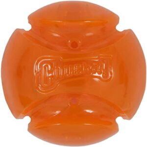 Pelota Hydrofreeze para Perros Large – Diversión y Limpieza Dental