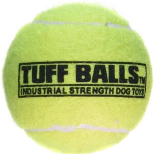 Pelotas Tuff PetSport: diversión garantizada para tu perro
