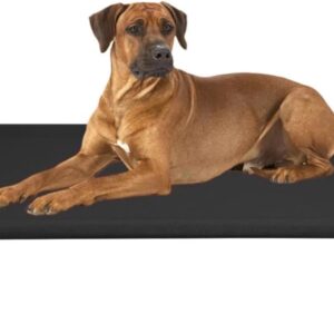 Cama elevada para perro DALIZA, negra y portátil