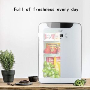 Mini nevera portátil 20L: frío y calor para viajes