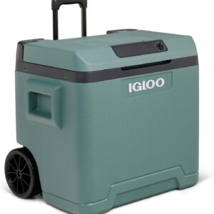 Igloo IE42 Nevera Eléctrica 42L, 12V/230V para coche y casa