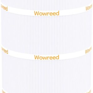 Filtro de piscina Wowreed compatible con SwimClear y Unicel