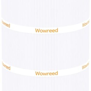 Filtro de piscina Wowreed compatible con Clean & Clear 100