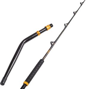 Fiblink Caña de Pescar Big Game 2 piezas agua salada