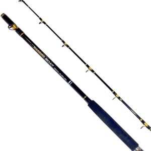 Fladen Warbird - Caña de Pesca Marina en Carbono (2 piezas)