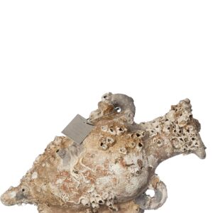 Ánfora Pisa MD2005 22x15cm - Decoración Marina Única