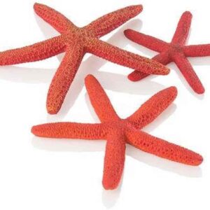 Estrellas de mar rojas biOrb para acuario