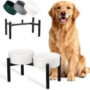 Comedero Elevado para Perros Medianos y Grandes – Blanco
