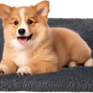 Cama para perro extra grande 100x60 cm, colchón lavable