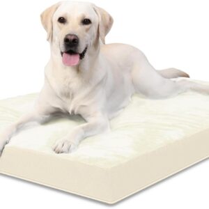 Cama ortopédica para perro mediano, beig, 91x68 cm