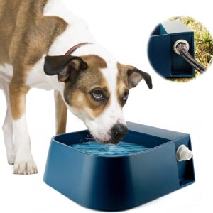 Bebedero Perros Grandes,Boyas para Bebederos,Comedero Gallinas Automatico,Suministro de Agua Ilimitado,para Perros, Gatos, Gallinas, Patos, Caballos, Ovejas,2L