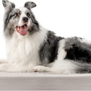Cama ortopédica XL para perros con memoria y funda lavable