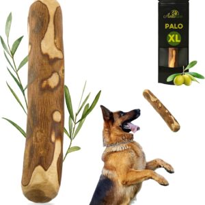 Mordedor XL de Olivo para Perros Grandes (27-30 cm)