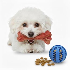 Juguetes interactivos para perros CE EVI - Pack adaptable