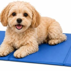 Alfombra Refrescante Petzee para Perros 50x40cm