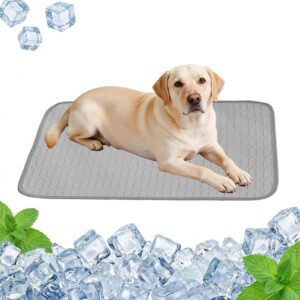 Alfombra refrescante para mascotas Quintrost 55x70 cm