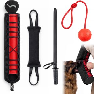 Kit entrenamiento perro Yeyeplum 4 piezas