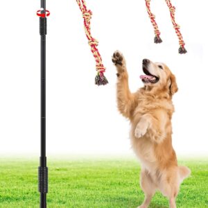Juguete de cuerda 360° para perros BUFOR, 3 juguetes