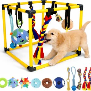 Gekufa Estudio de Juegos para Cachorros con 8 Juguetes