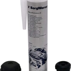 Kit filtro aceite BorgWarner para Haldex Gen 1