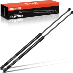 Amortiguadores Frankberg 2x para portón trasero Seat León 1M1 (1999-2006)