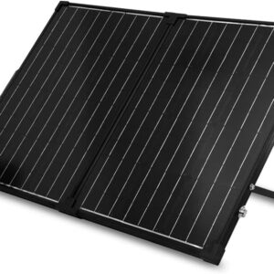 Panel solar Renogy 100W plegable con maleta negra
