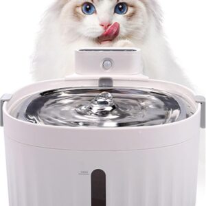 Dispensador automático de agua para mascotas con filtro