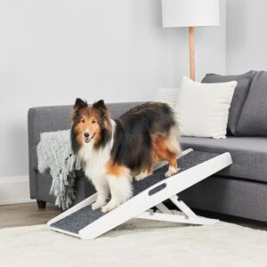 Rampa para mascotas Carlson White, 39", plegable y ajustable