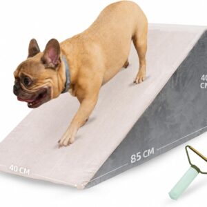 Rampa para Perros Sofá y Cama - T2ND, 40 cm, Base Antideslizante