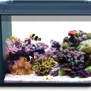 Acuario Fluval Evo Marino 52 L, Negro