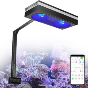 PopBloom RL180 - Luz LED inteligente para arrecife SPS/LPS