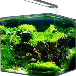 Amtra NANOTANK System 36 - Acuario 36L con LED y filtro