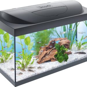 Acuario Tetra Starter Line LED 54L completo con filtro y luz