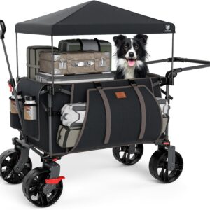 EVER ADVANCED Carro festival plegable 228 L con toldo