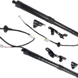Amortiguadores eléctricos para portón trasero (1 par)