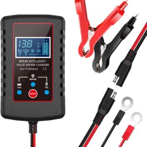 POFET Cargador Inteligente 6V/12V para Baterías