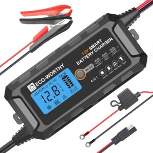 Cargador 12V 5A ECO-WORTHY para baterías de Litio y Plomo