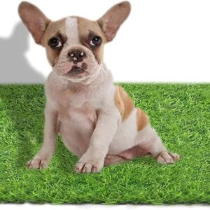 Cesped artificial 75x110 cm para perros - STARROAD-TIM
