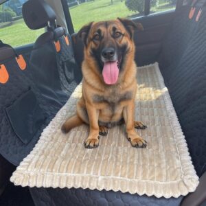 GKXLH Funda asiento perro – Alfombrilla antideslizante