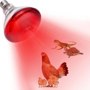 Lámpara de calor infrarrojos 250W E27 para reptiles y mascotas