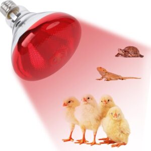 Lámpara infrarroja roja 250W para pollos y reptiles