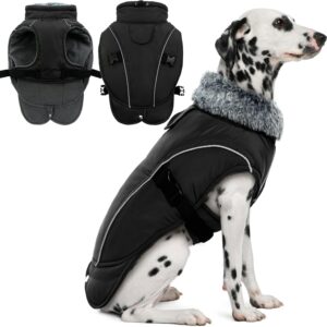 Abrigo térmico DENTRUN para perro, resistente al agua y al viento