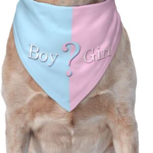 Bandana revelación género perro azul Vercosee
