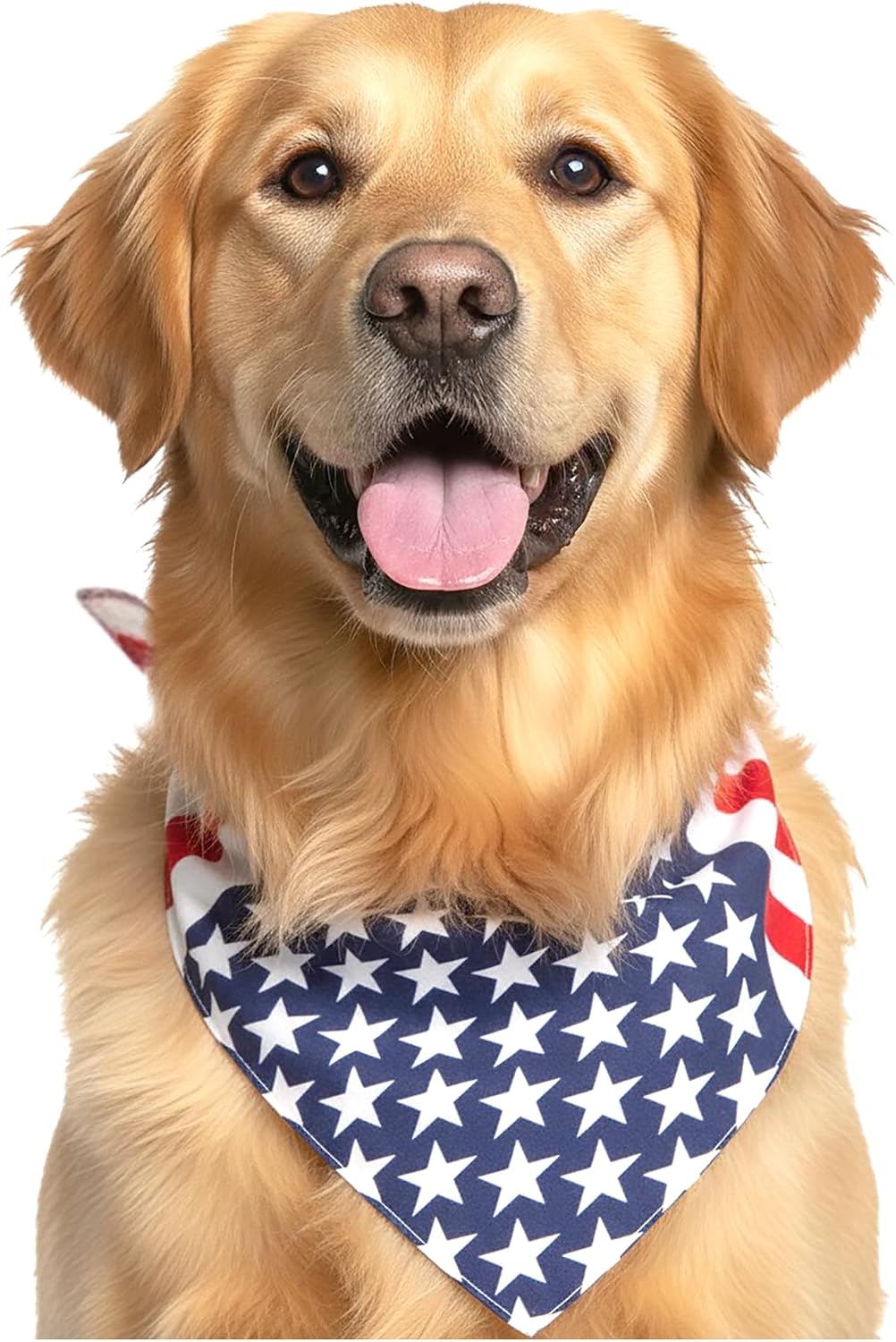 Bandana USA para perros - Bandera americana