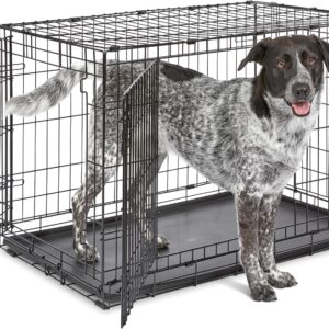 Jaula iCrate MidWest 91 cm para perros medianos/grandes