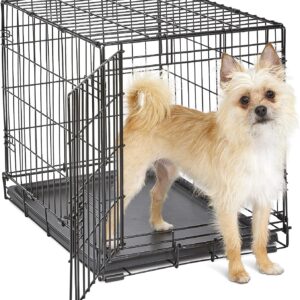 New World - Jaula plegable para perros pequeños, 61 cm, con bandeja